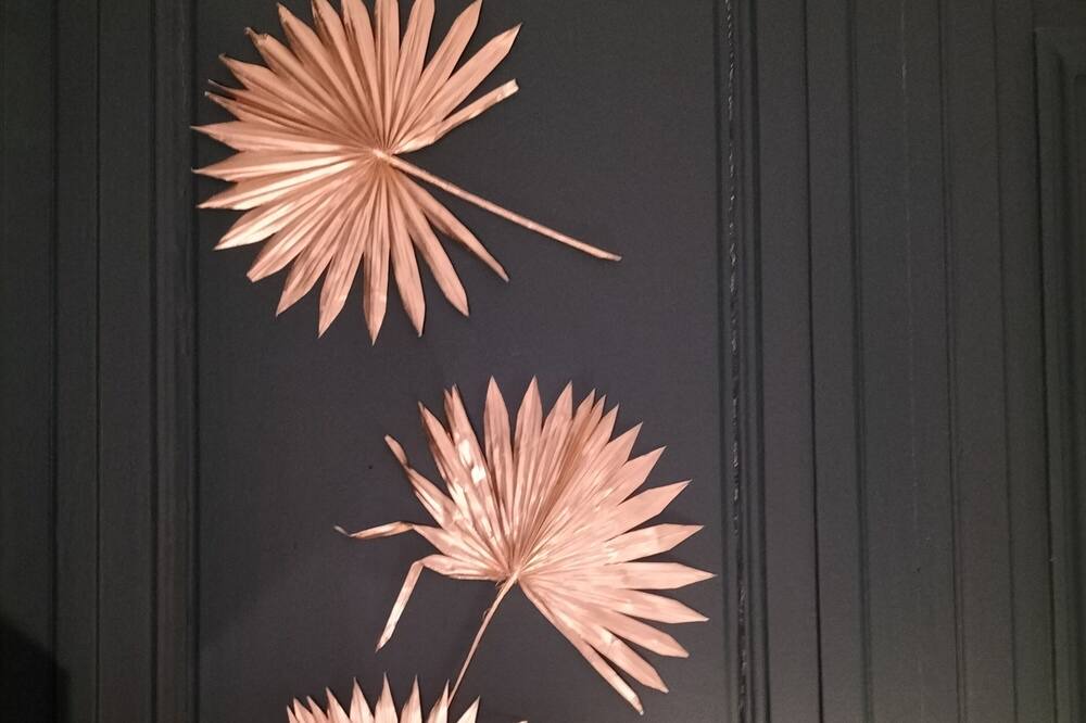 Photo of Others in Nancy City Centre