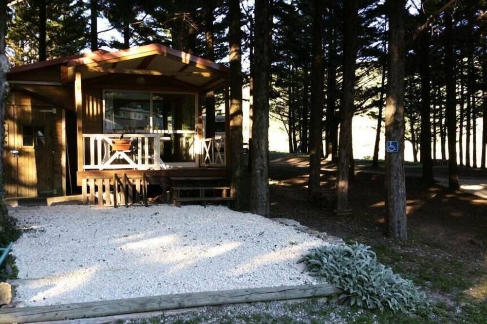Photo of Outdoor in Vesc
