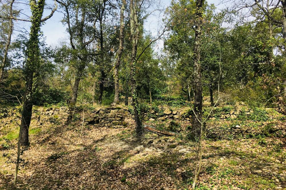 Photo of Outdoor in Neoules