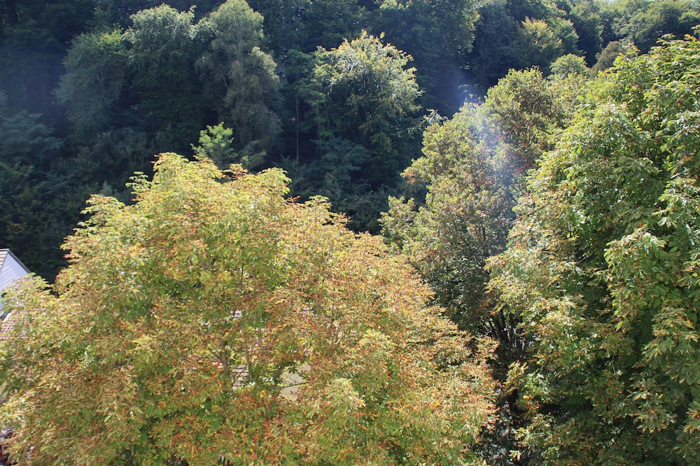 Photo of Outdoor in Capvern