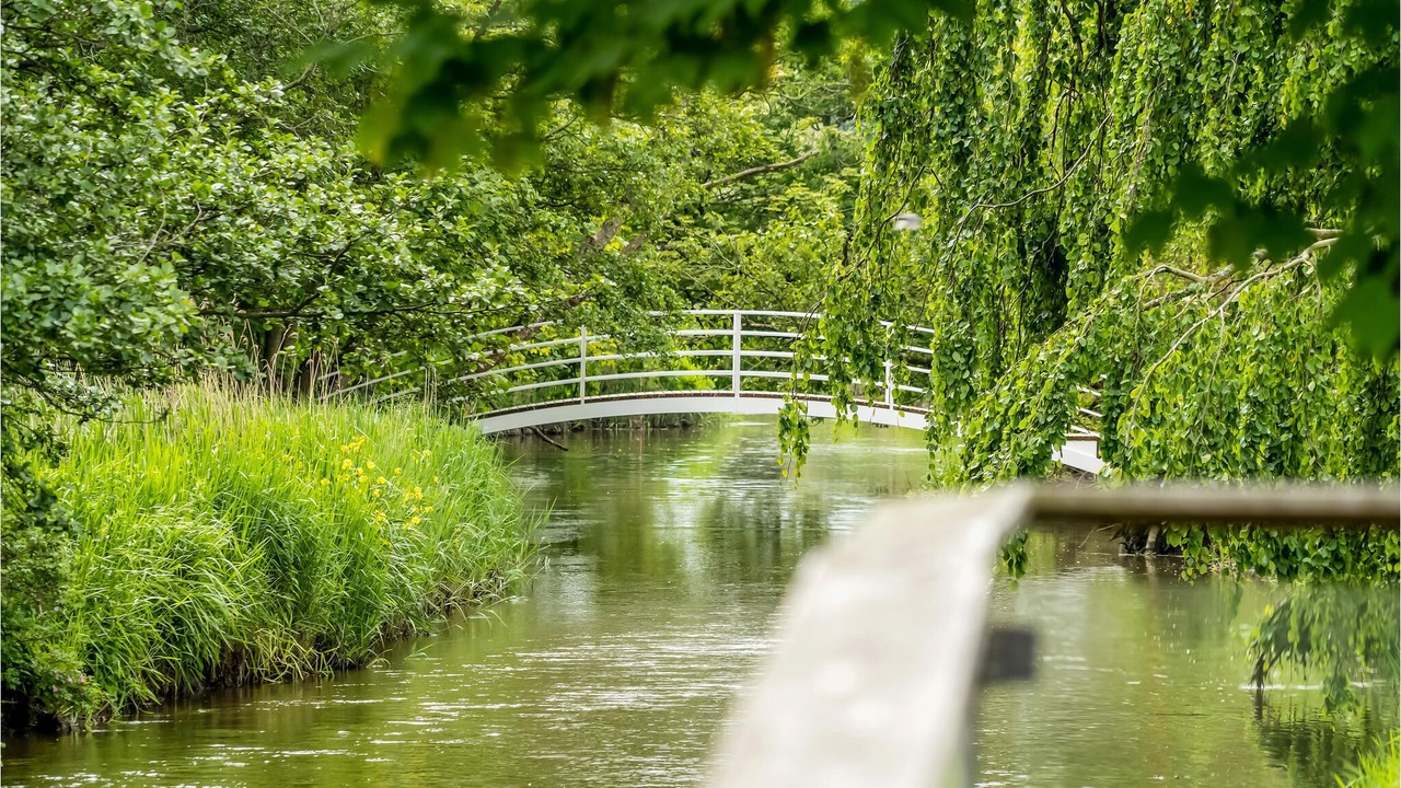 Photo of Others in Bedsted