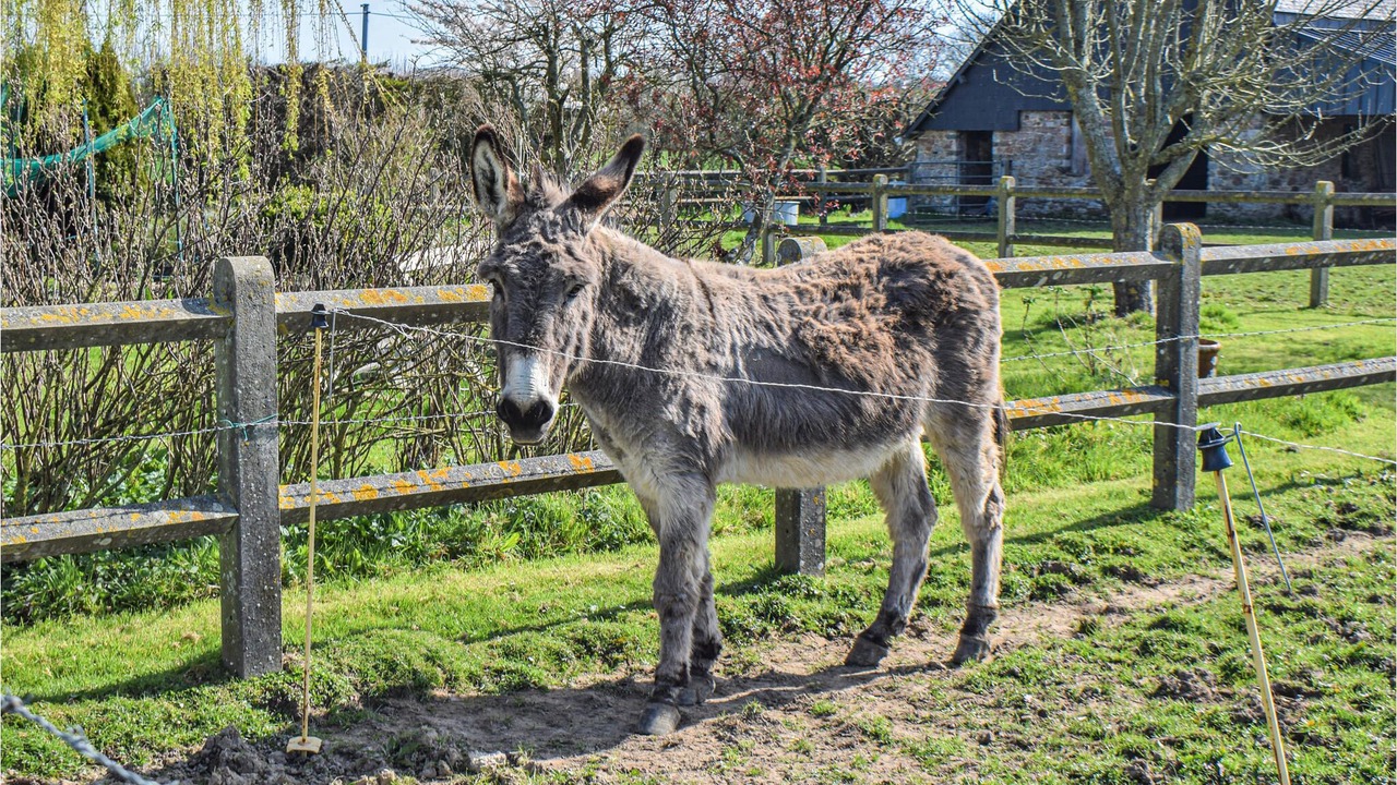 Photo of Outdoor in Moon-sur-Elle