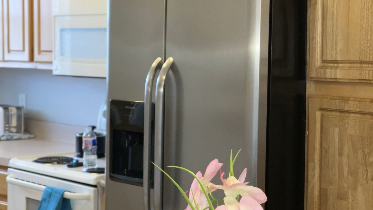 Photo of Kitchen in Wylie