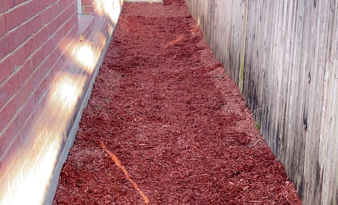 Photo of Outdoor in Wylie