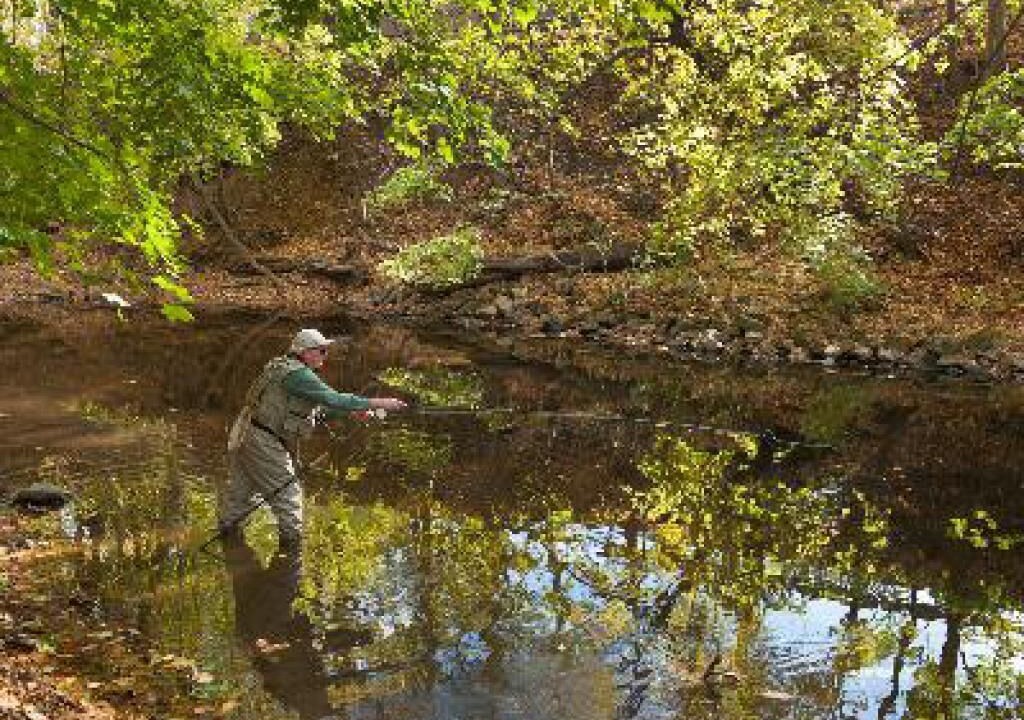 Photo of Others in Califon