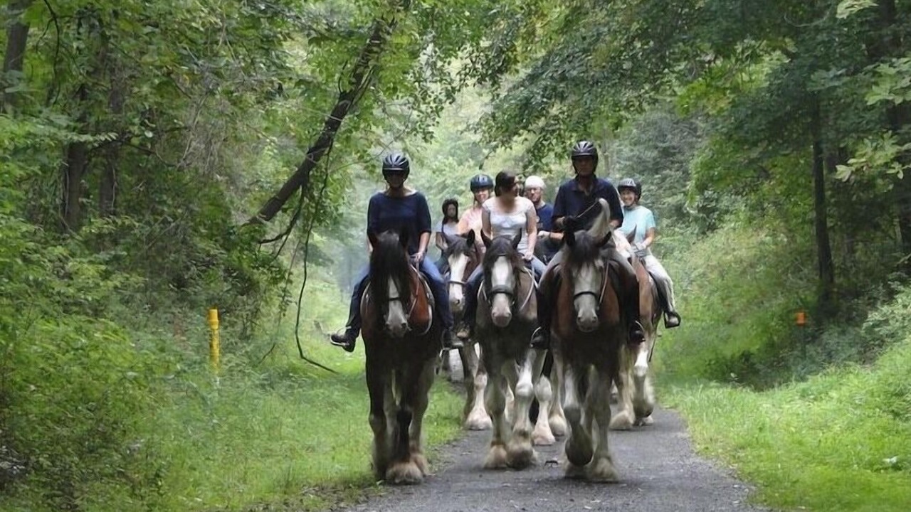 Photo of Outdoor in Califon