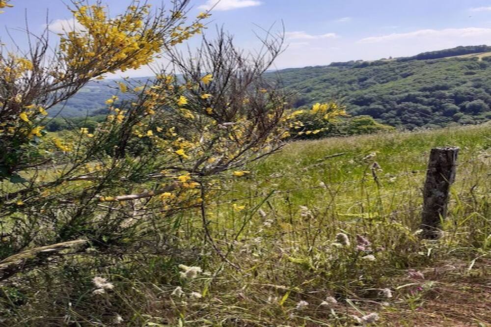 Photo of Outdoor in Colombies
