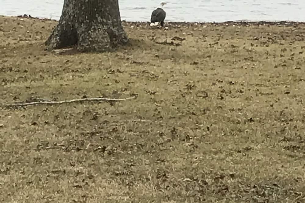 Photo of Others in San Augustine