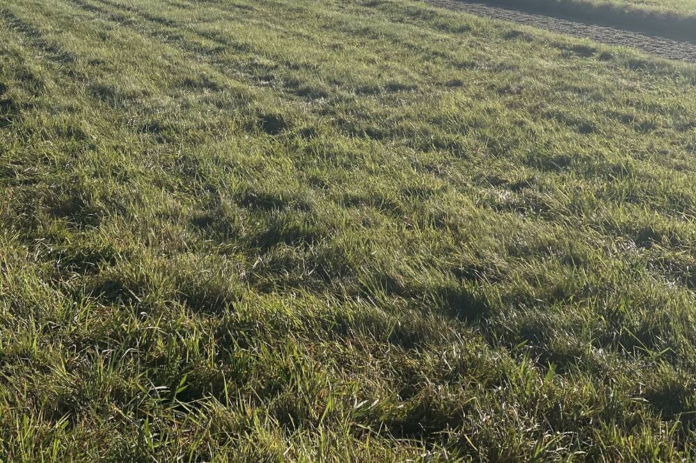 Photo of Others in Findon