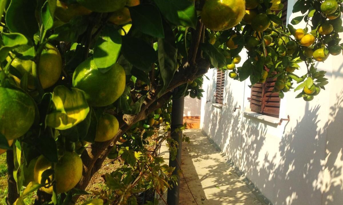 Photo of Outdoor in Lukoran