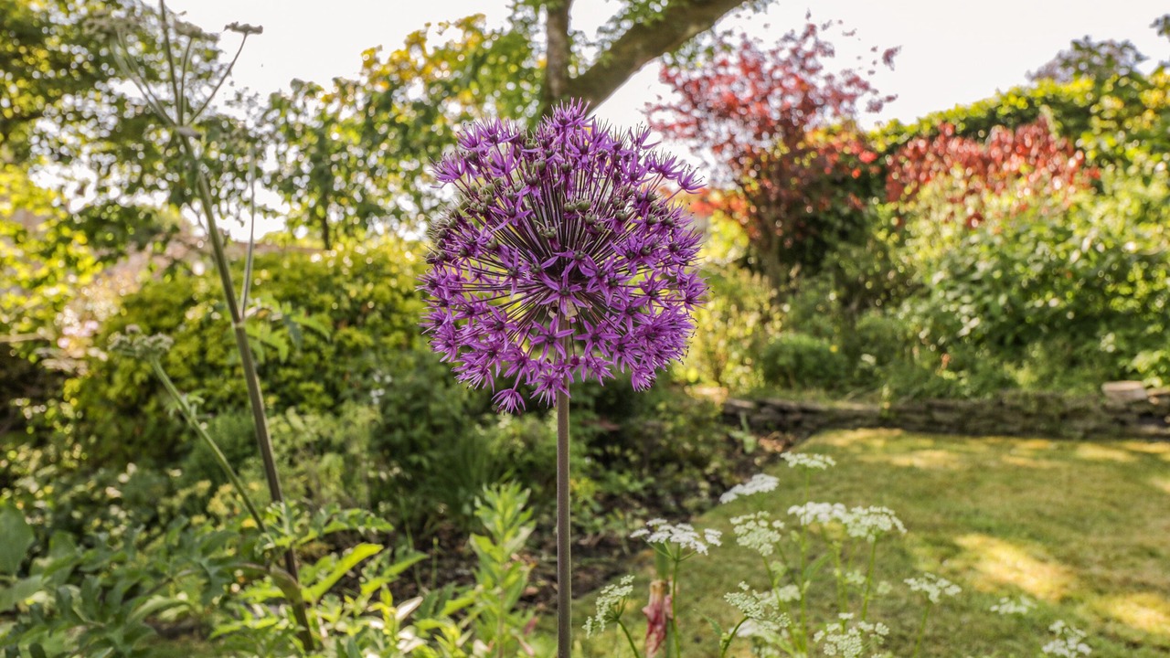 Photo of Others in Castle Combe