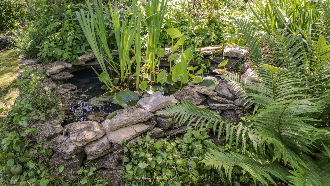 Photo of Others in Castle Combe
