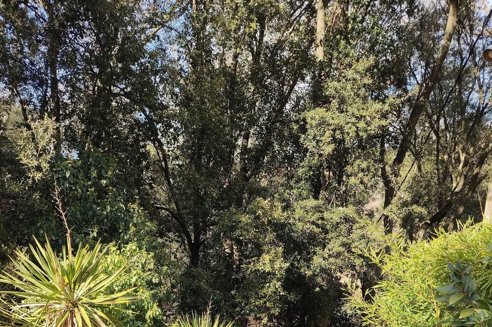 Photo of Outdoor in Sant Llorenc Savall