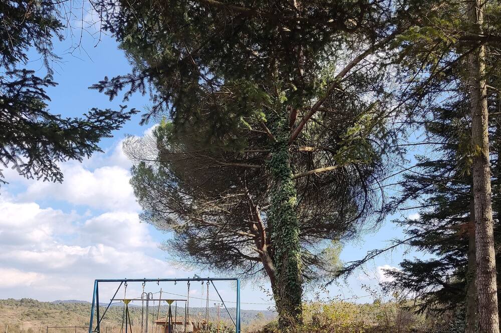 Photo of Outdoor in Sant Llorenc Savall
