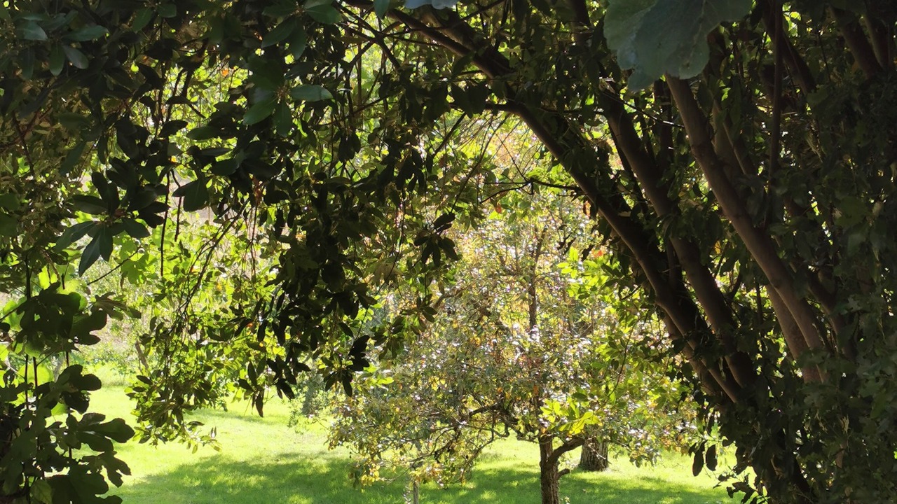Photo of Outdoor in Plavilla