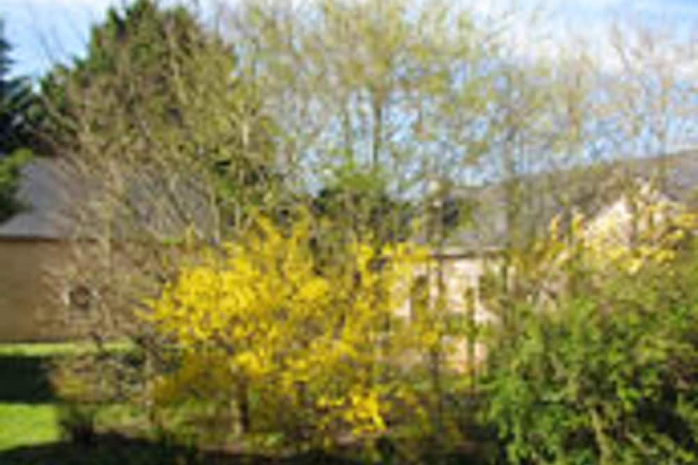 Photo of Outdoor in Daumeray