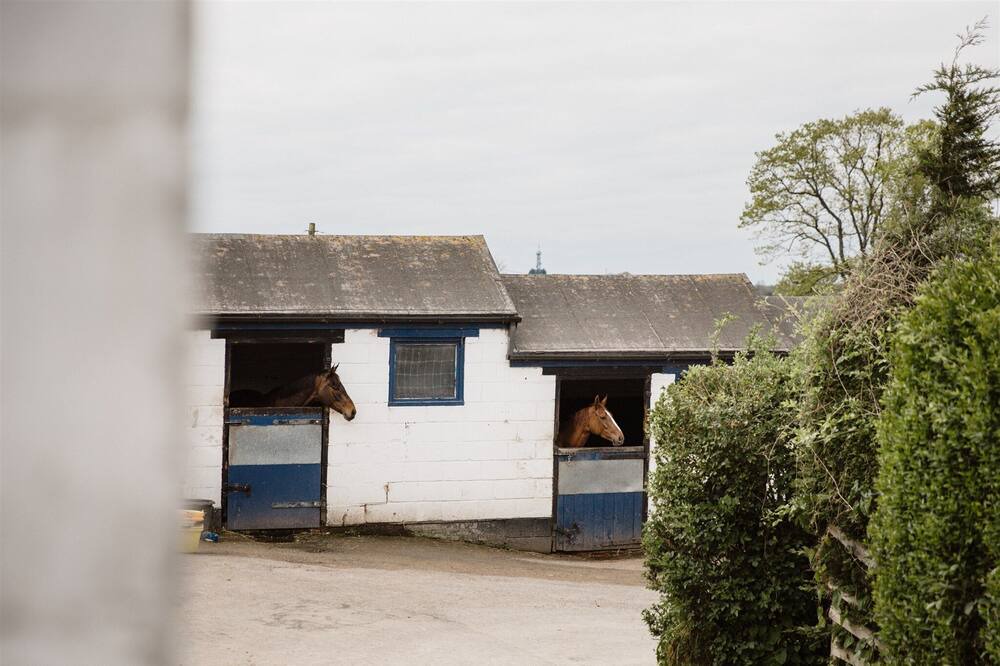 Photo of Outdoor in Findon