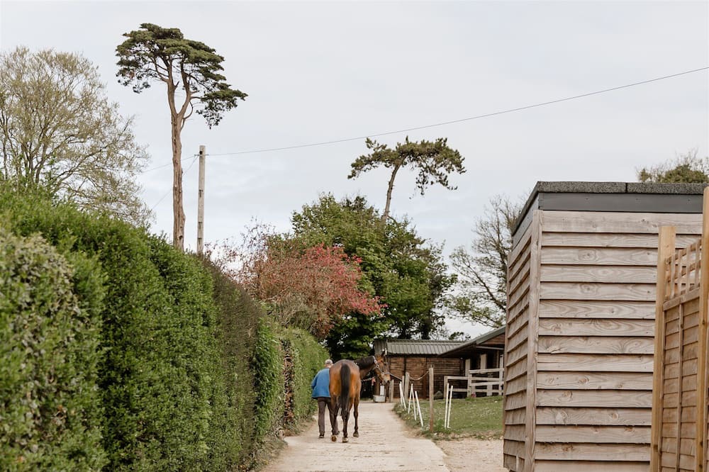 Photo of Others in Findon