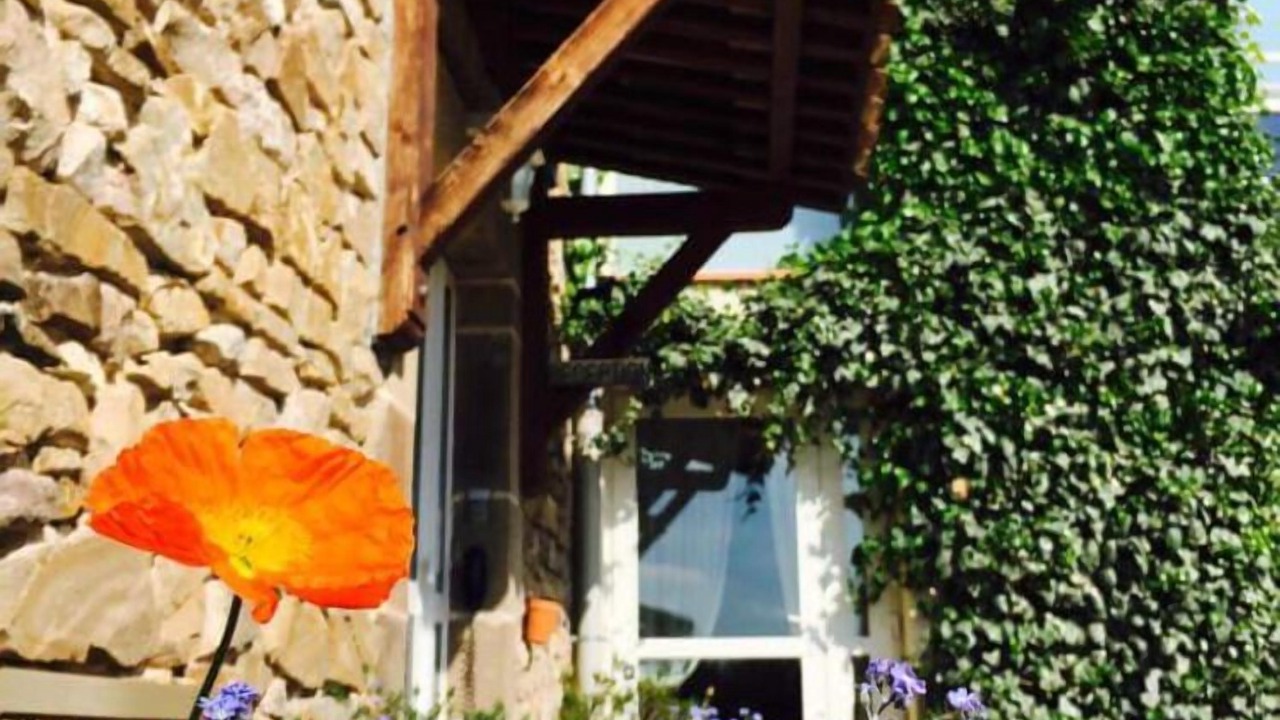 Photo of Outdoor in Cordes-sur-Ciel