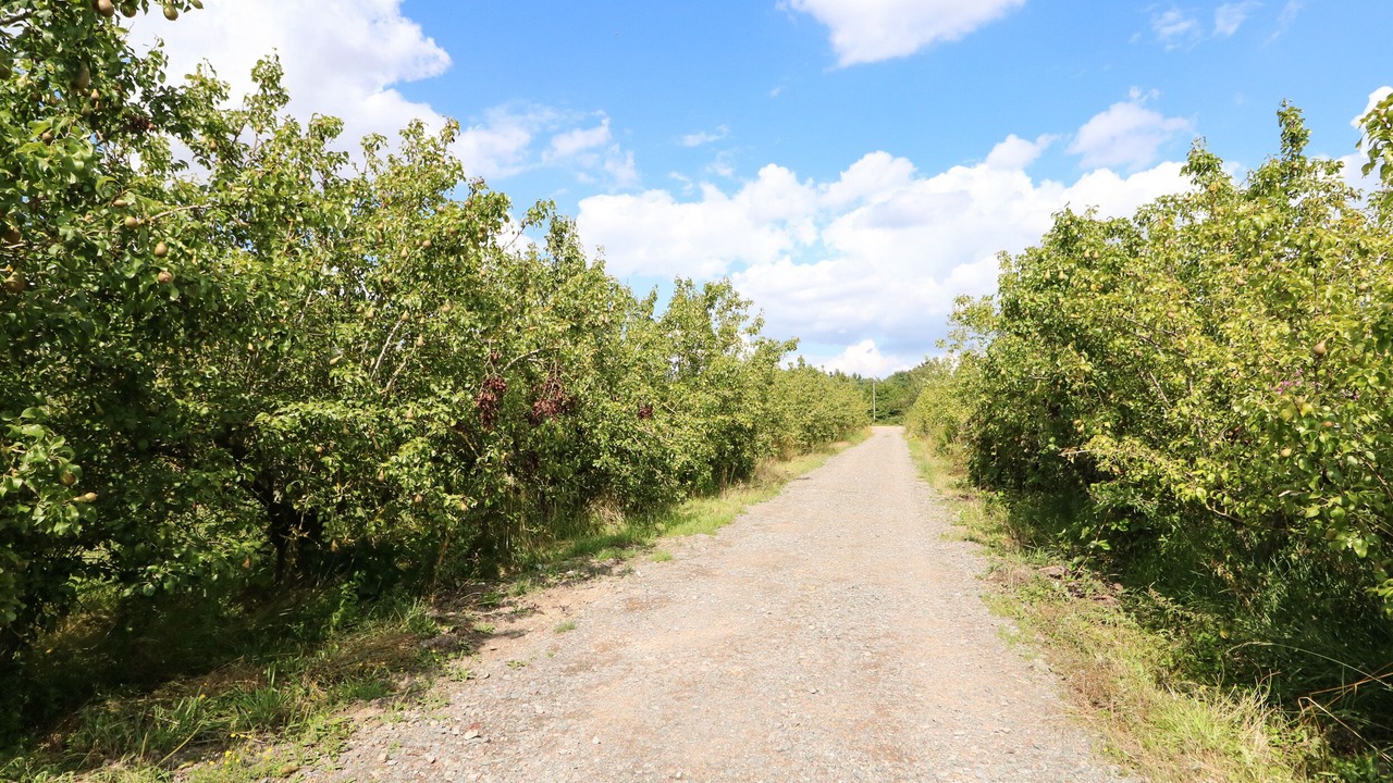 Photo of Others in Wisbech