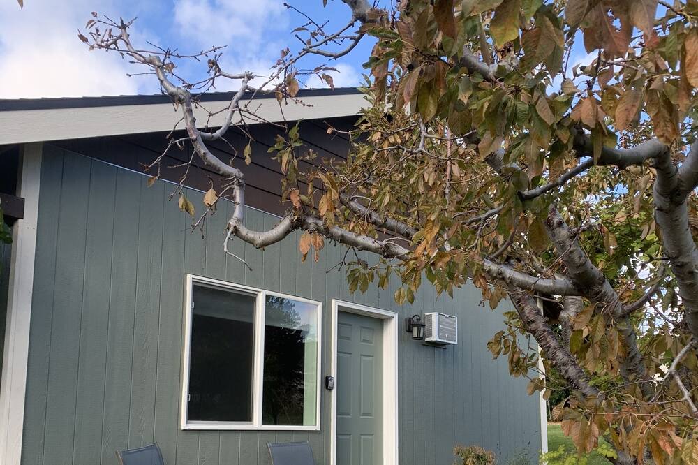 Photo of Others in East Wenatchee