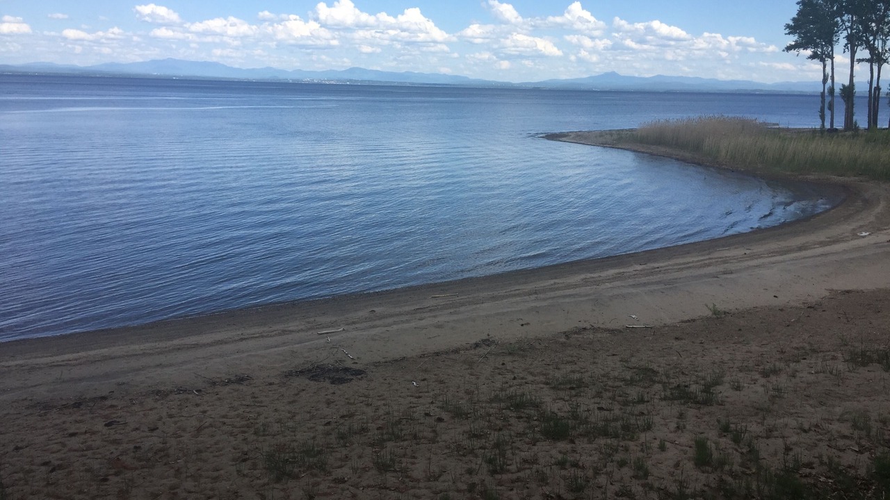 Photo of Others in Port Douglass