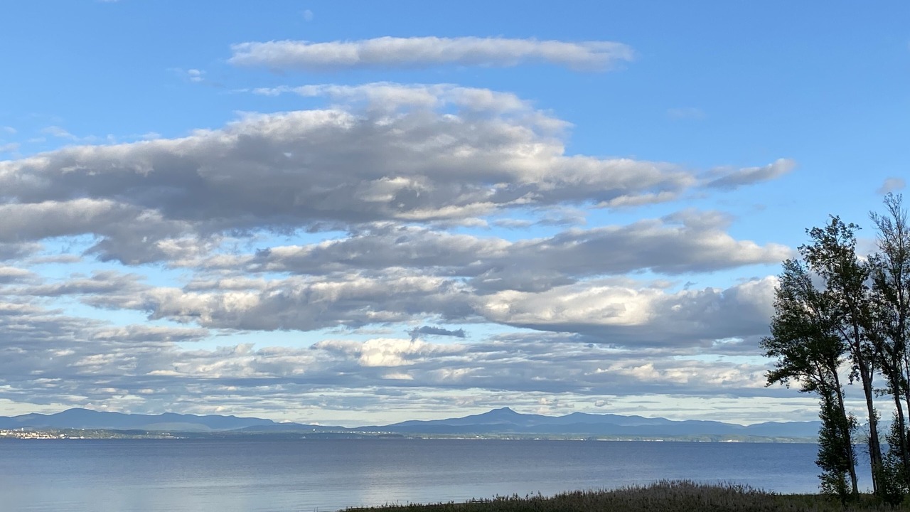 Photo of Others in Port Douglass