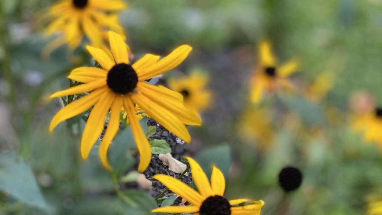 Photo of Outdoor in Port Douglass