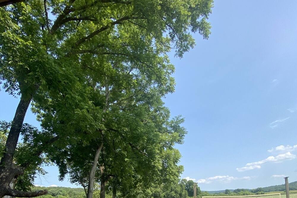 Photo of Outdoor in Hardy