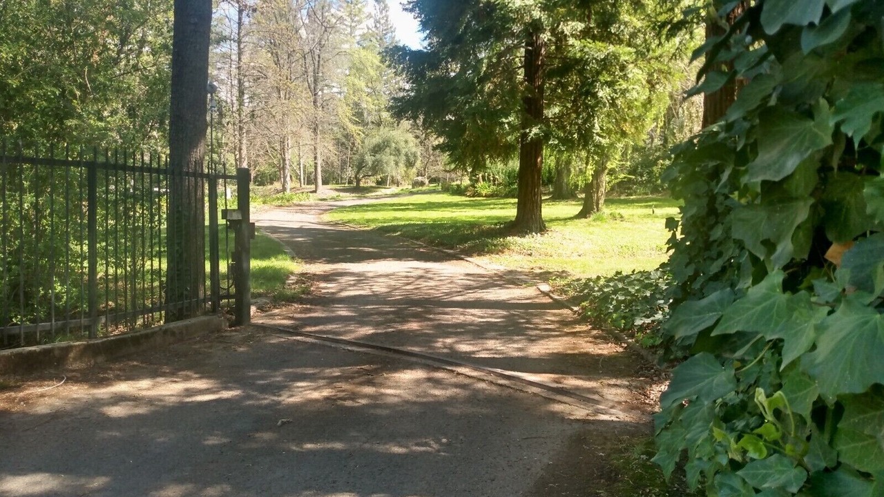 Photo of Outdoor in Newcastle