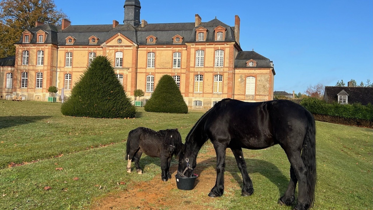 Photo of Others in Lombron