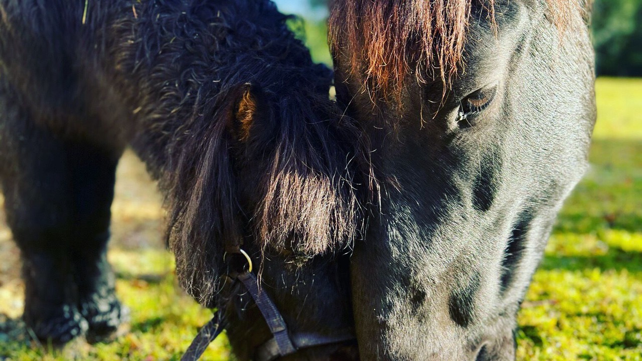 Photo of Others in Lombron