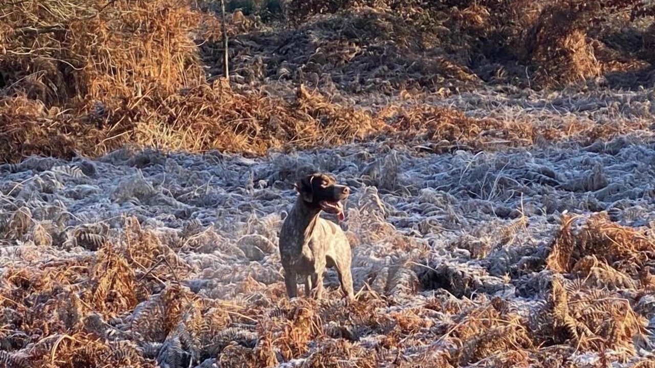 Photo of Outdoor in Lombron