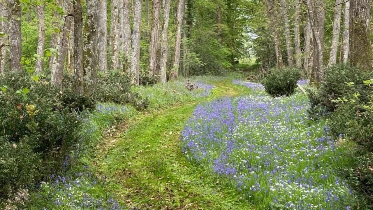 Photo of Outdoor in Lombron