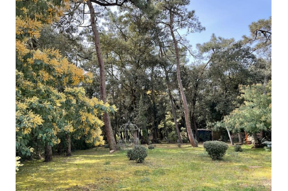 Photo of Outdoor in Rivedoux-Plage