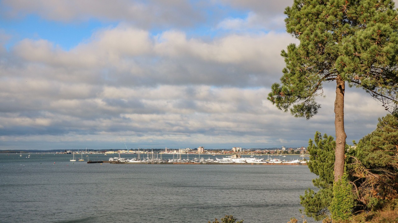 Photo of Others in Boscombe