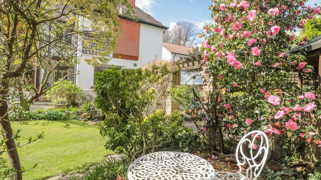 Photo of Others in Boscombe