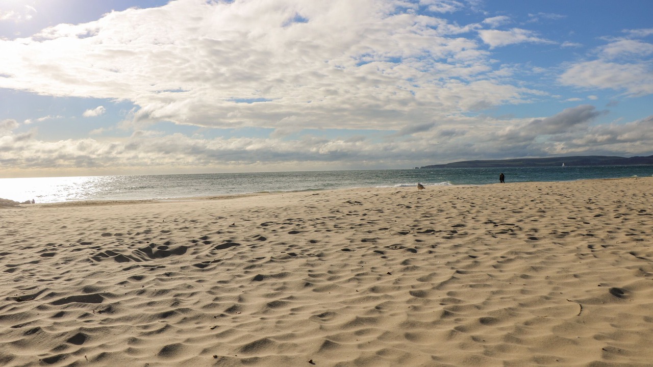 Photo of Others in Boscombe