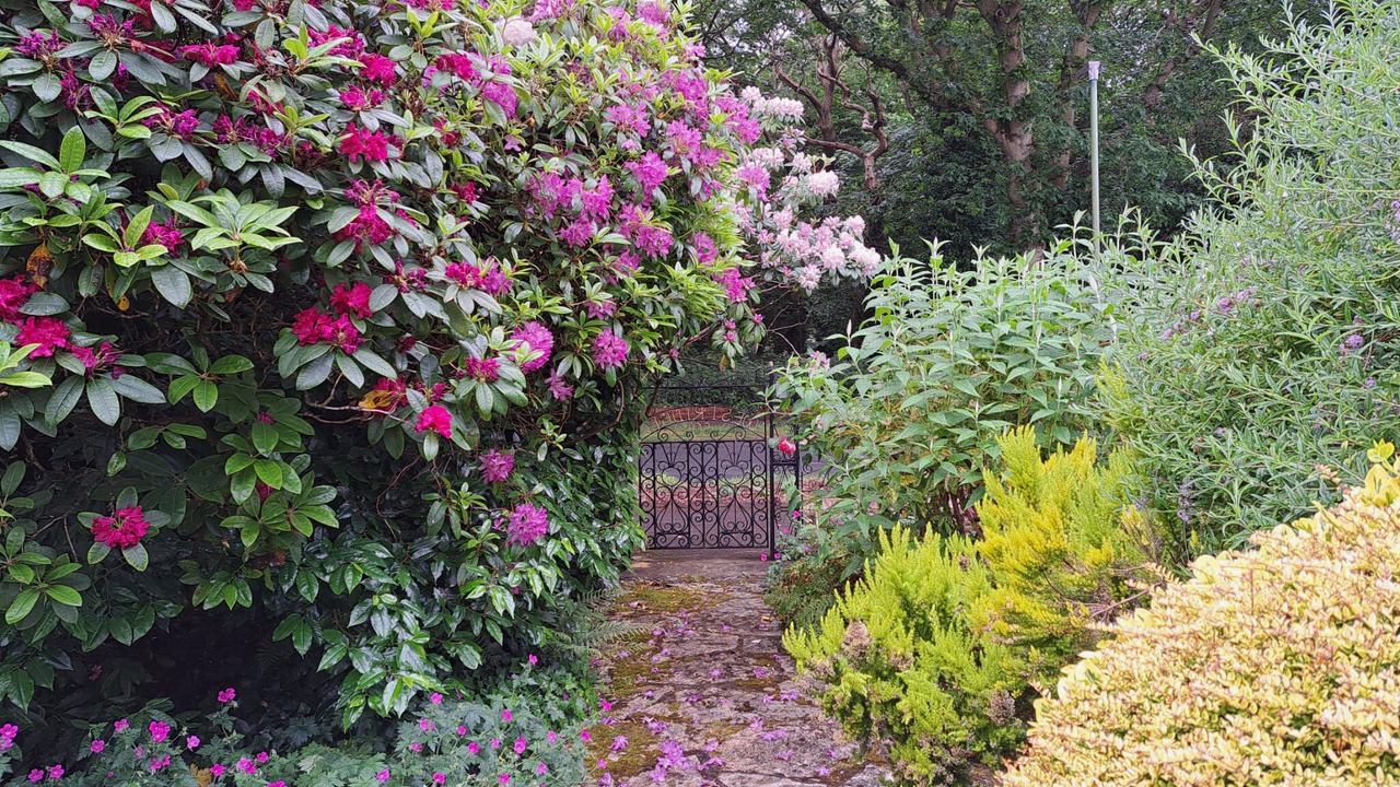 Photo of Others in Boscombe