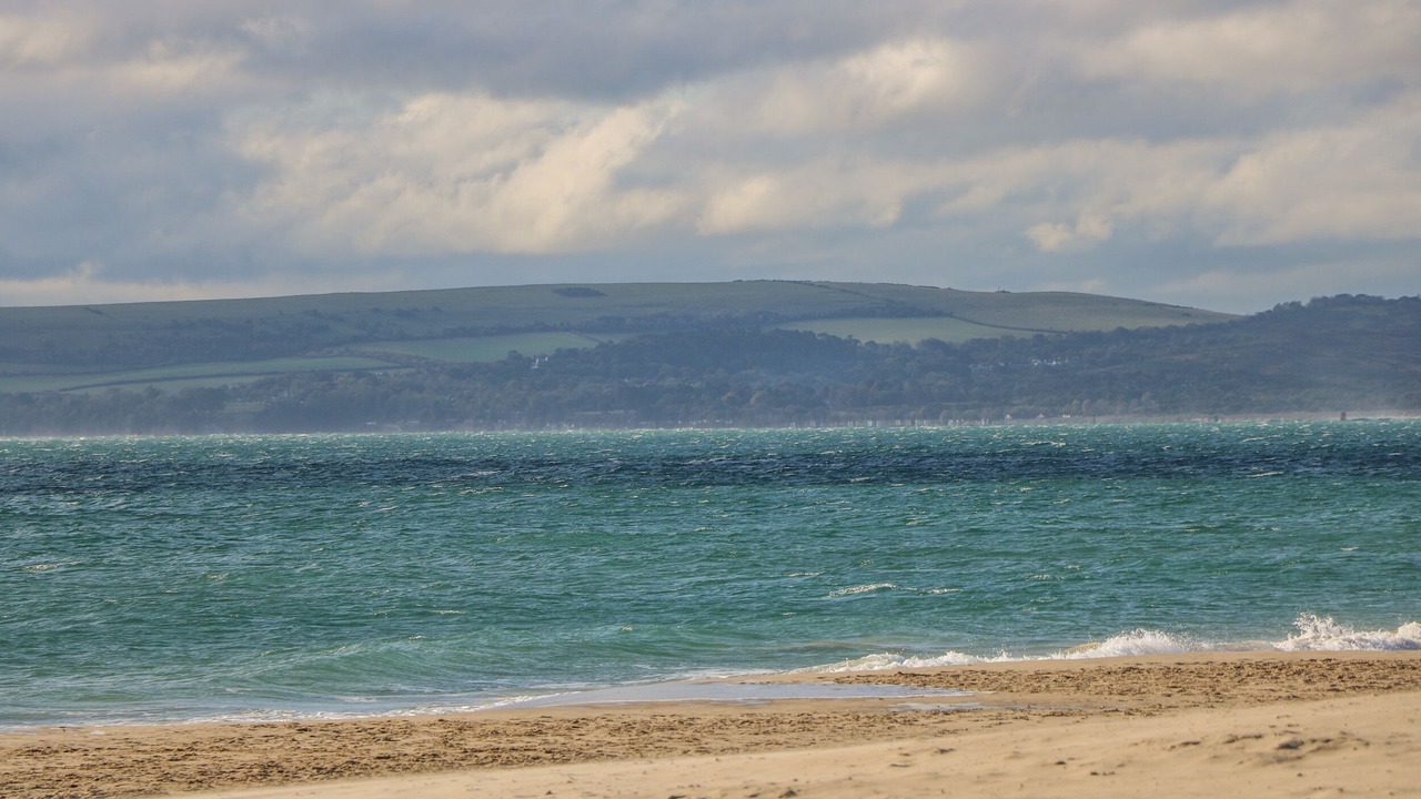 Photo of Others in Boscombe