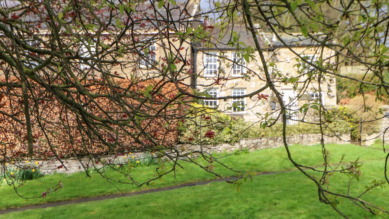 Photo of Others in Fremington