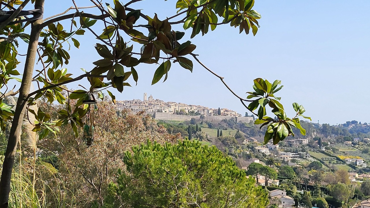 Photo of Others in Saint-Paul-de-Vence