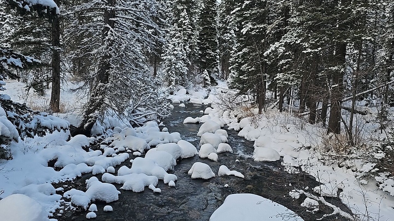 Photo of Others in Whitehall