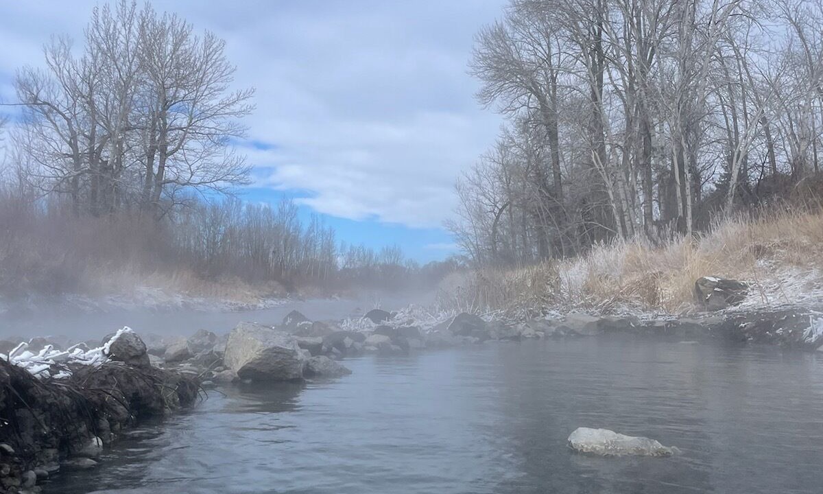 Photo of Others in Whitehall