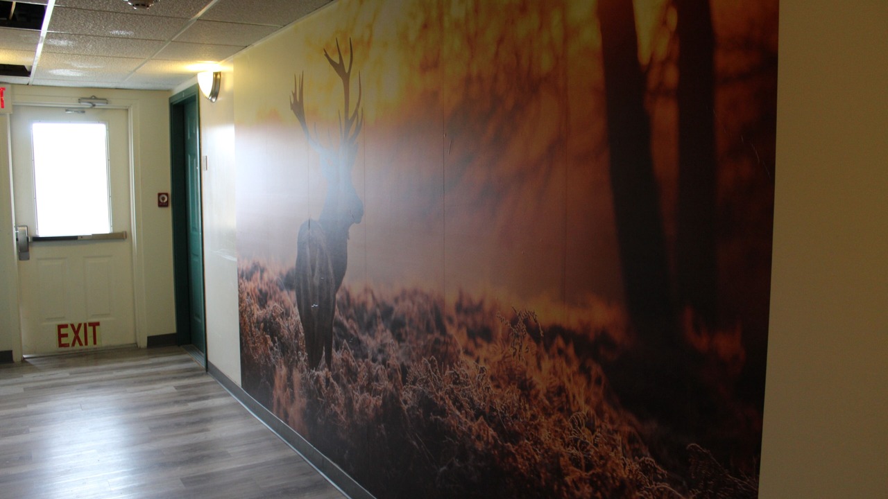 Photo of Others in Whitehall