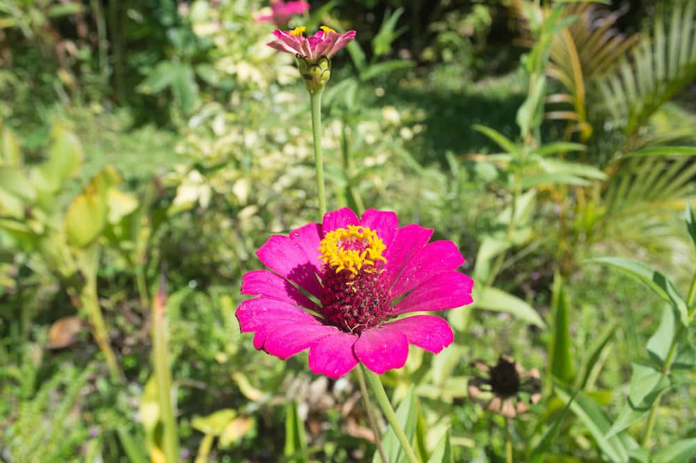 Photo of Outdoor in Bohorok
