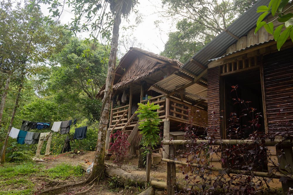 Photo of Outdoor in Bohorok