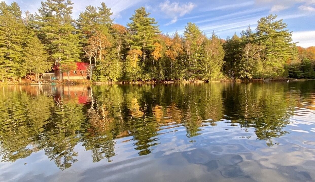 Photo of Others in Algonquin Highlands