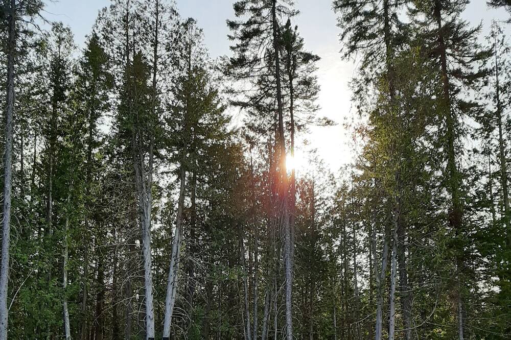 Photo of Outdoor in Saint Come