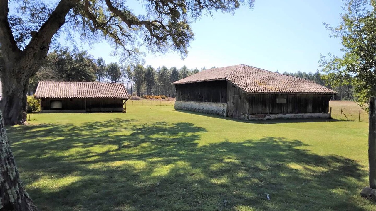 Photo of Outdoor in Vielle-Saint-Girons